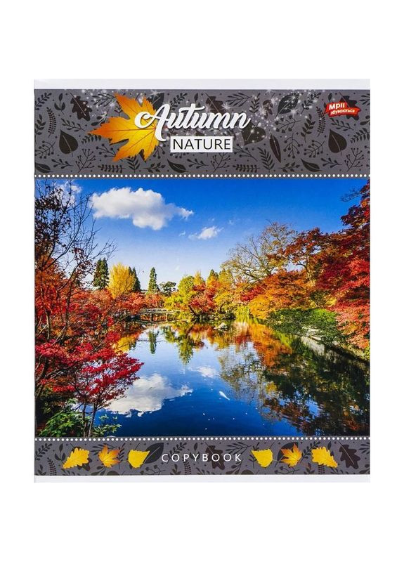 Тетрадь цветная 24 листов, клетка (16 штук в упаковке) MIC (352538499)