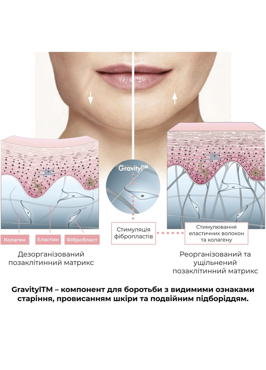 Антигравитационная моделирующая сыворотка для лица и шеи ReNuAge ContourLift Serum 30 мл Hillary (335371618)