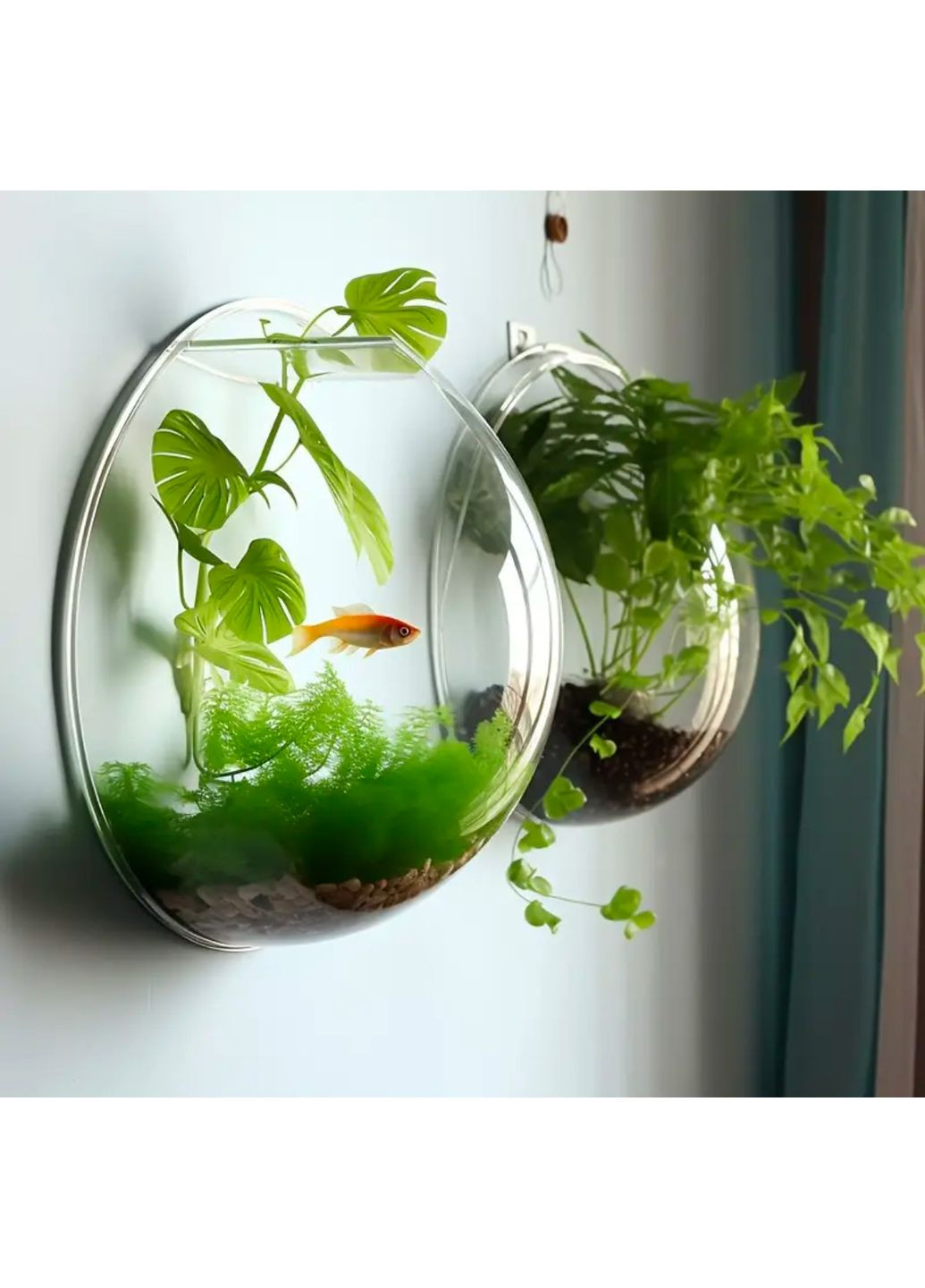 Настенный аквариум Ocean 29,5х29,5см No Brand (360245272)