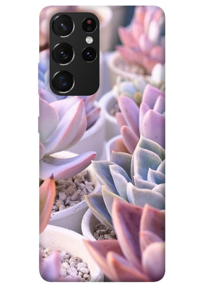 Чохол з принтом для Samsung Galaxy S21 Ultra / для самсунг галаксі с21 ультра Ехеверія 2 No Brand (339063645)