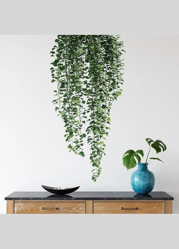 Наклейка на стіну Різнобарвні рослини, що звисають (лист 60 х 90 см) Б296-24 No Brand (302242833)