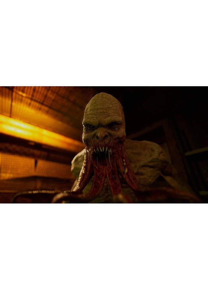 Гра S.T.A.L.K.E.R. 2 Серце Чорнобиля Standard Edition для PC (329723628)