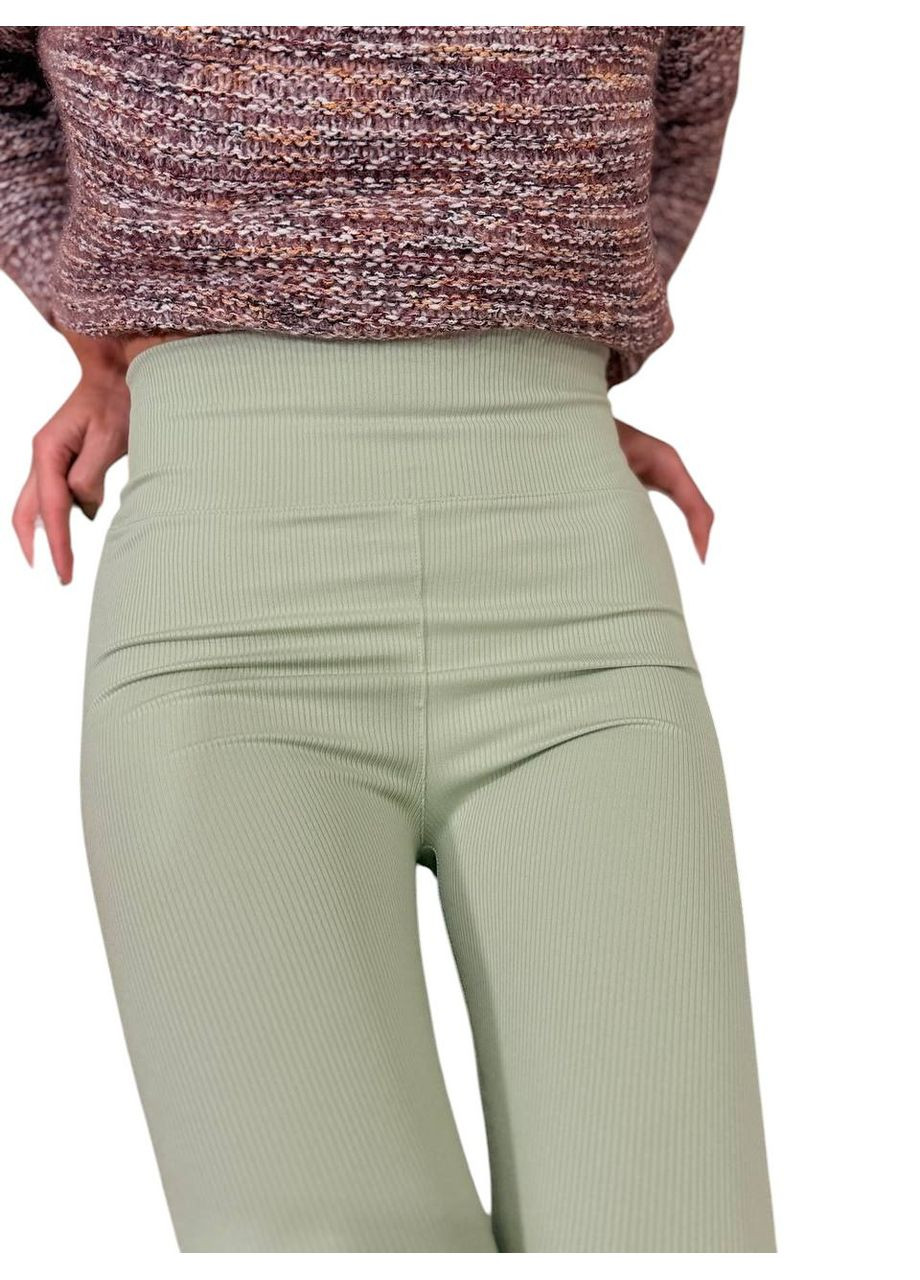 Лосини еластичні в рубчик жіночі з високим широким поясом класичні без утеплення демісезон 99-101см No Brand Лосини в рубчик класичні без підкладки фуксія (342758757)