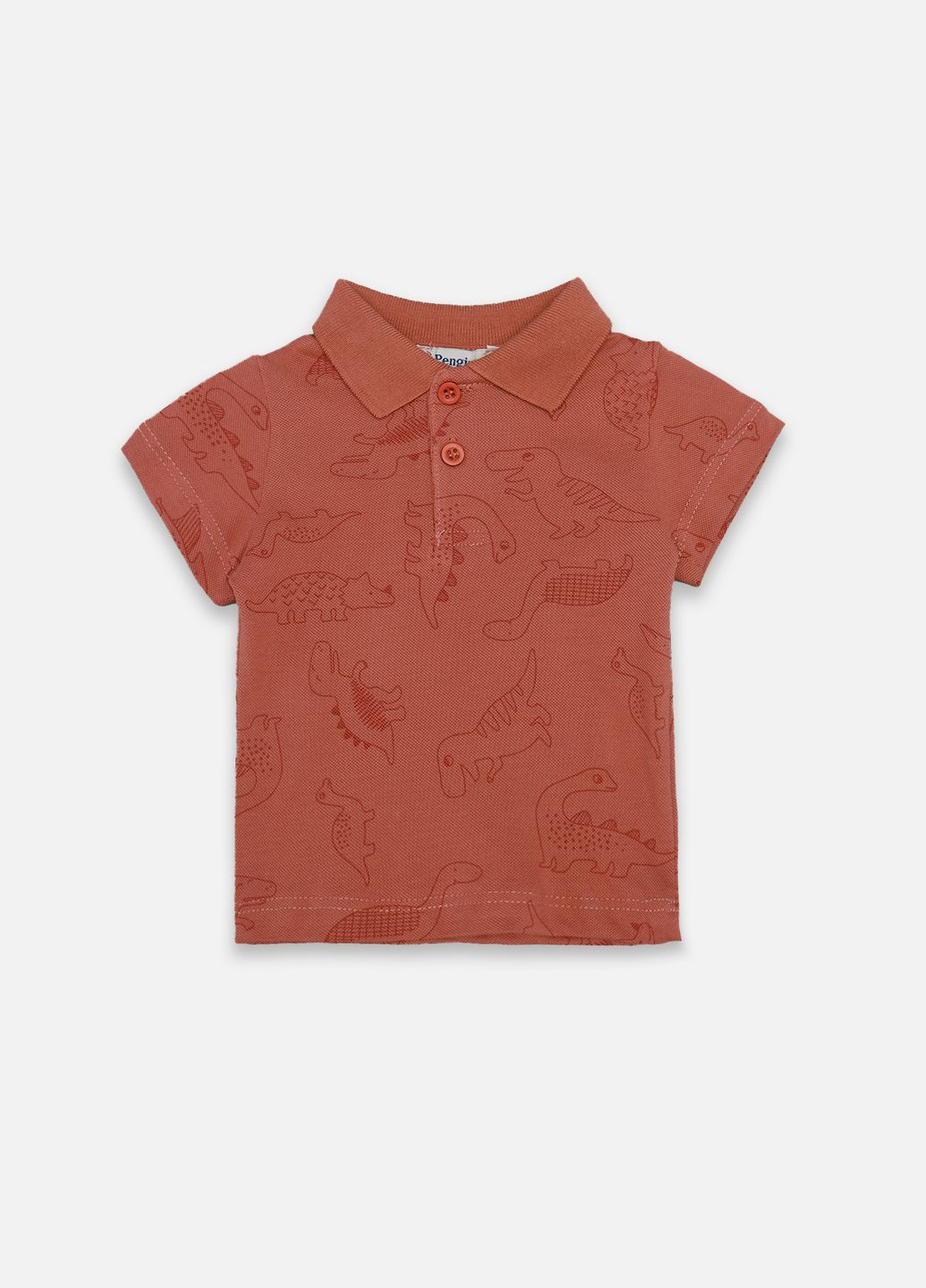 Коричневая детская футболка-футболка-поло с коротким рукавом для мальчика цвет терракотовый цб-00247461 для мальчика Pengim