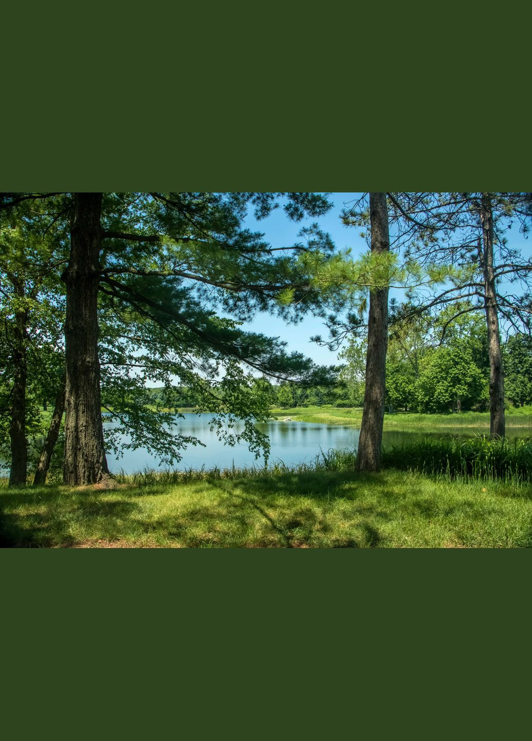 Фотообои Престиж №44 на 8 листов Prestige 040108 (324266229)