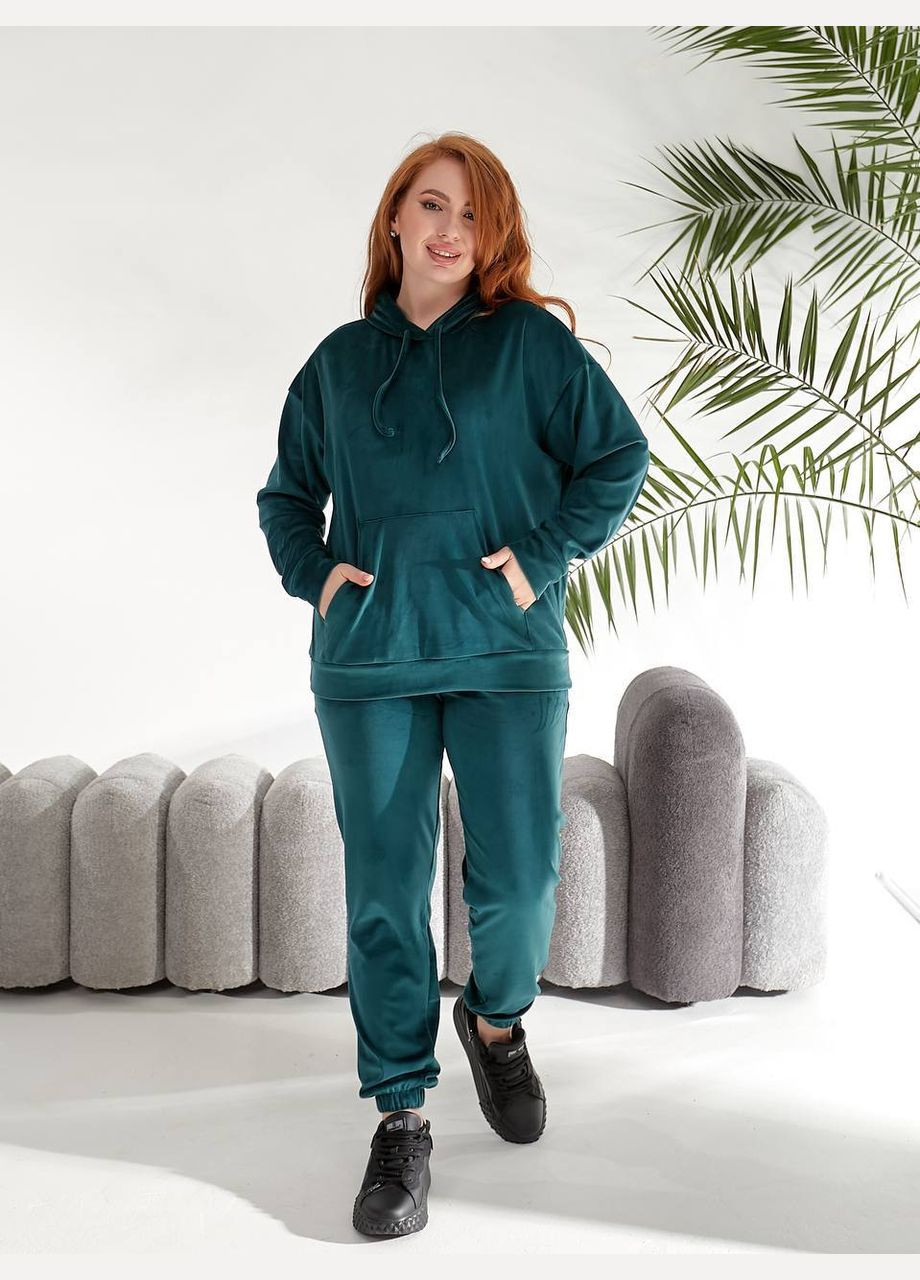 Жіночий костюм велюровий Style Point (345122811)