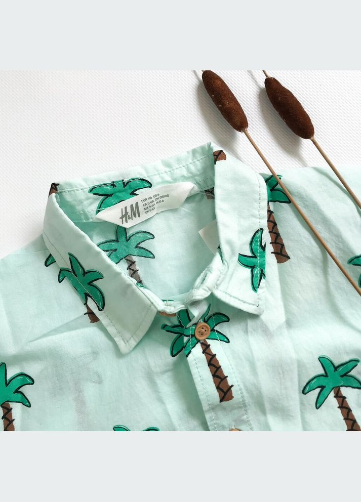 Сорочка 116 см блакитний артикул Л452 H&M (290704704)