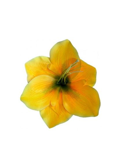 Амариллис желтый, упаковка 50 шт Пластмакс (372838122)