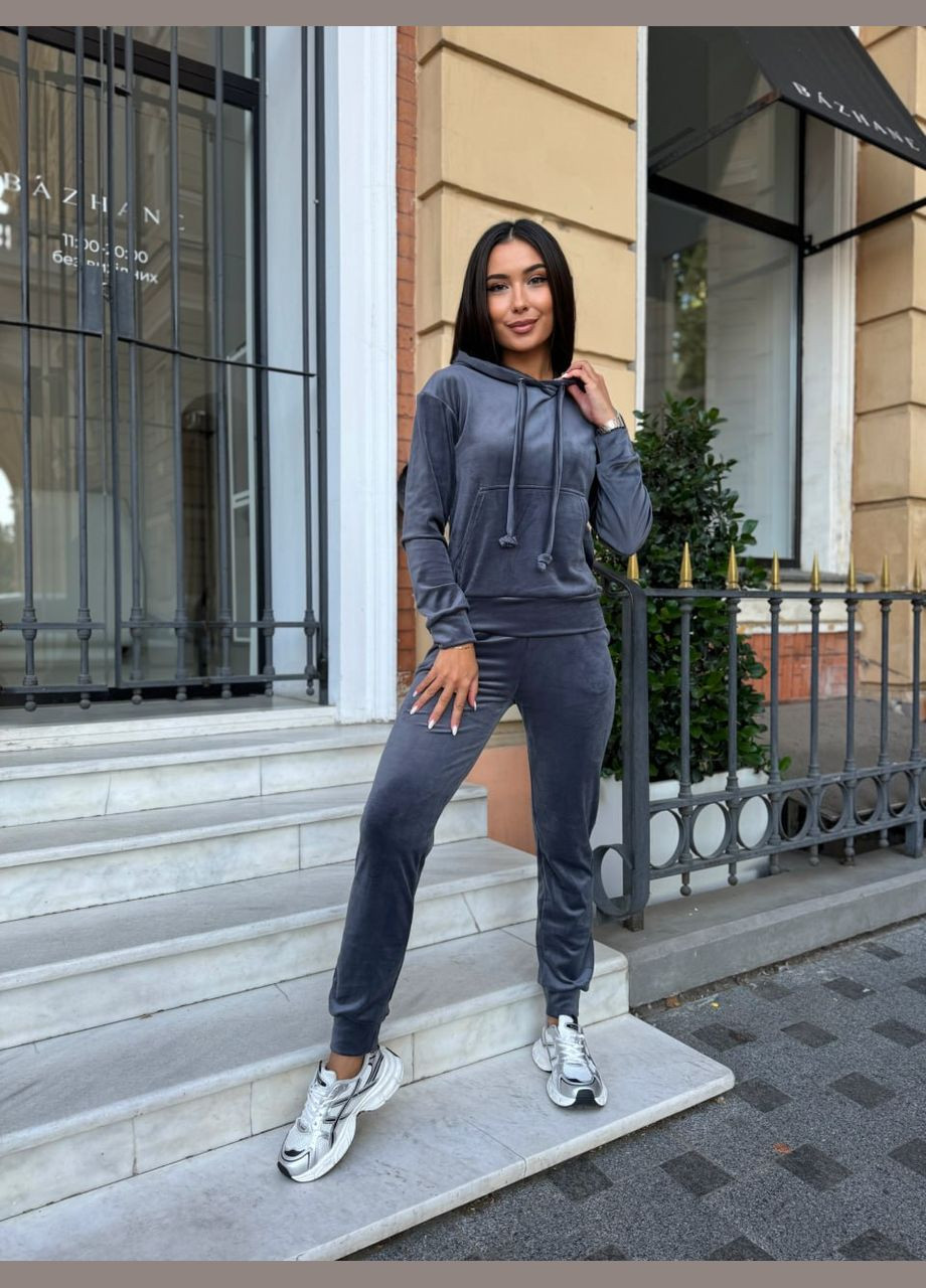 Спортивный велюровый костюм Fashion (300567343)