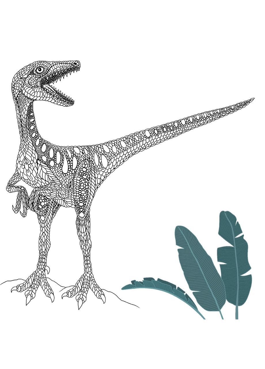 Динозаврія. Розмальовки та цікаві факти Жорж (273237657)