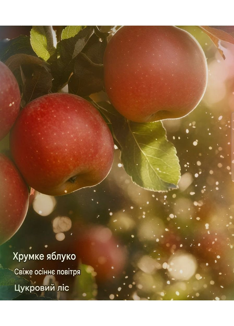 Парфюмированный лосьон для тела Dreamy Apple Orchard 🎀 Victoria's Secret Лосьйон для тіла (362732034)