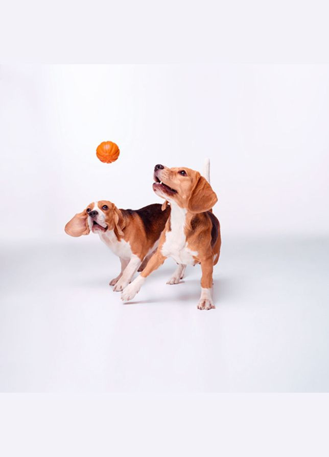 Мячик Лайкер7 (диаметр 7см) Liker (342414064)