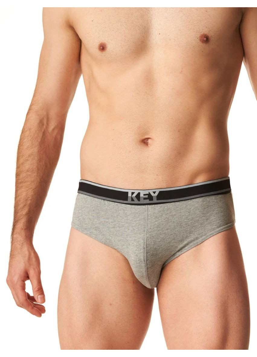 Мужские трусы слип Key (302432945)