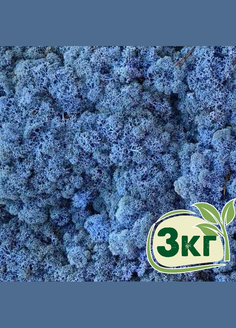Стабілізований мох ягель Лавандовий 3 кг Nordic moss (276401106)