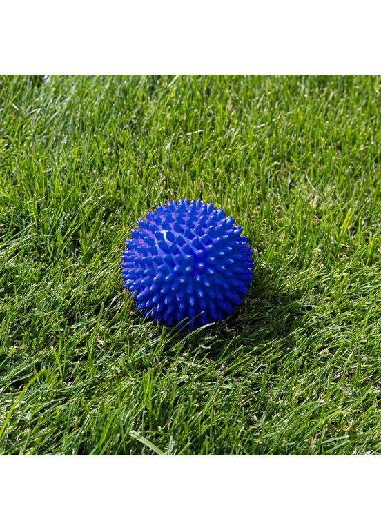 Іграшка для собак та котиків, м'яч із шипами (гольчастий м'ячик для котів, кішок) ПВХ 7,5 см (R-00010) OSPORT (370709343)