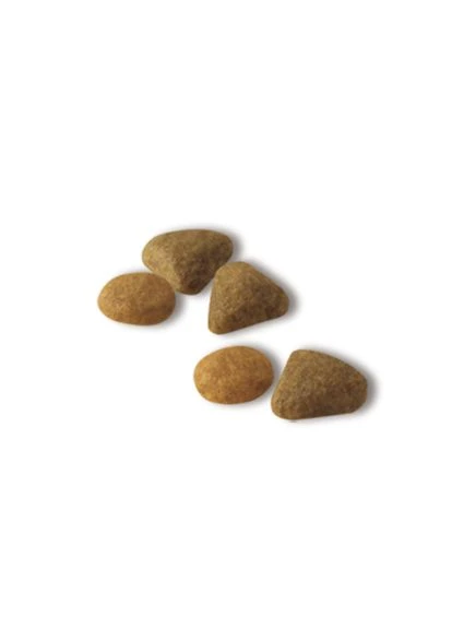 Сухой корм для котов Exigent Savour 2 кг 2531020 Royal Canin (266274100)