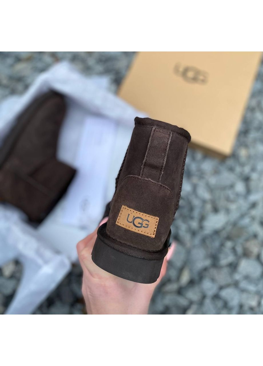 Угги Женские UGG Classic Mini II (Замша) (366320699)