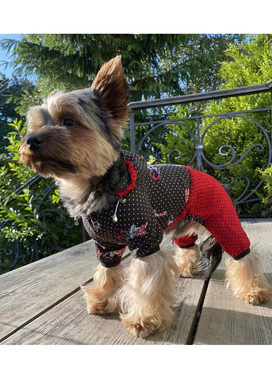 DOG STYLE - Літні комбінезони для собак No Brand (358652244)