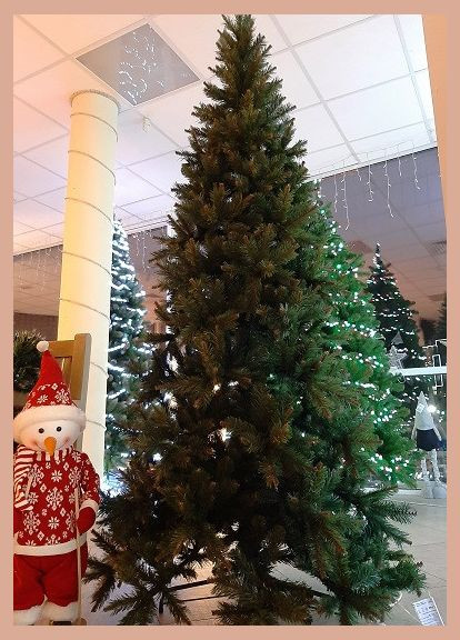 Елка 155 см, Edulis зеленая Triumph Tree (329407082)