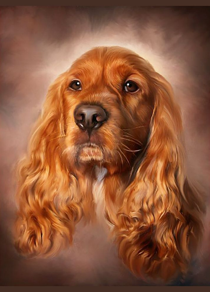 Набір алмазної вишивки "Англійский кокерспаніель" Чарівний діамант (302752365)