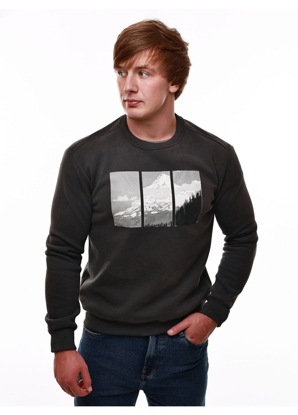 Серый свитшот мужской (366152332)