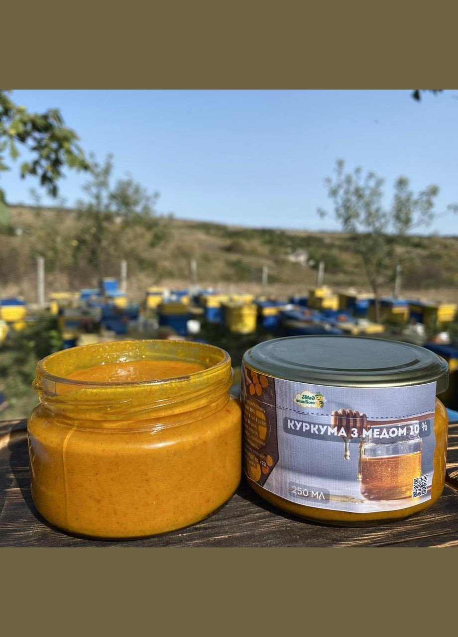 Мед с куркумой для иммунитета 250 мл МЕД ПОШТОЮ (322148985)