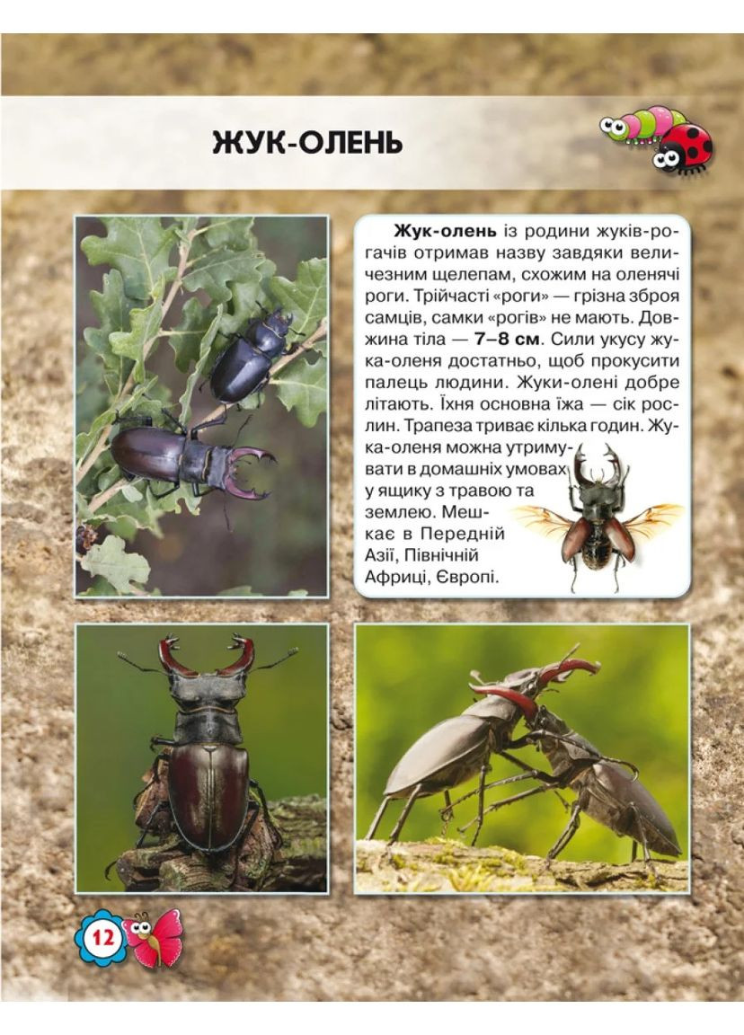 Мир вокруг нас. Насекомые Кристал Бук (370068466)