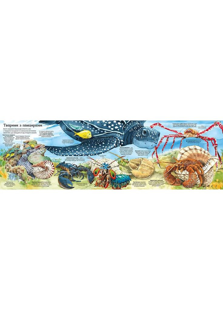 Велика книга морських мешканців (9786177940172) Артбукс (353221272)