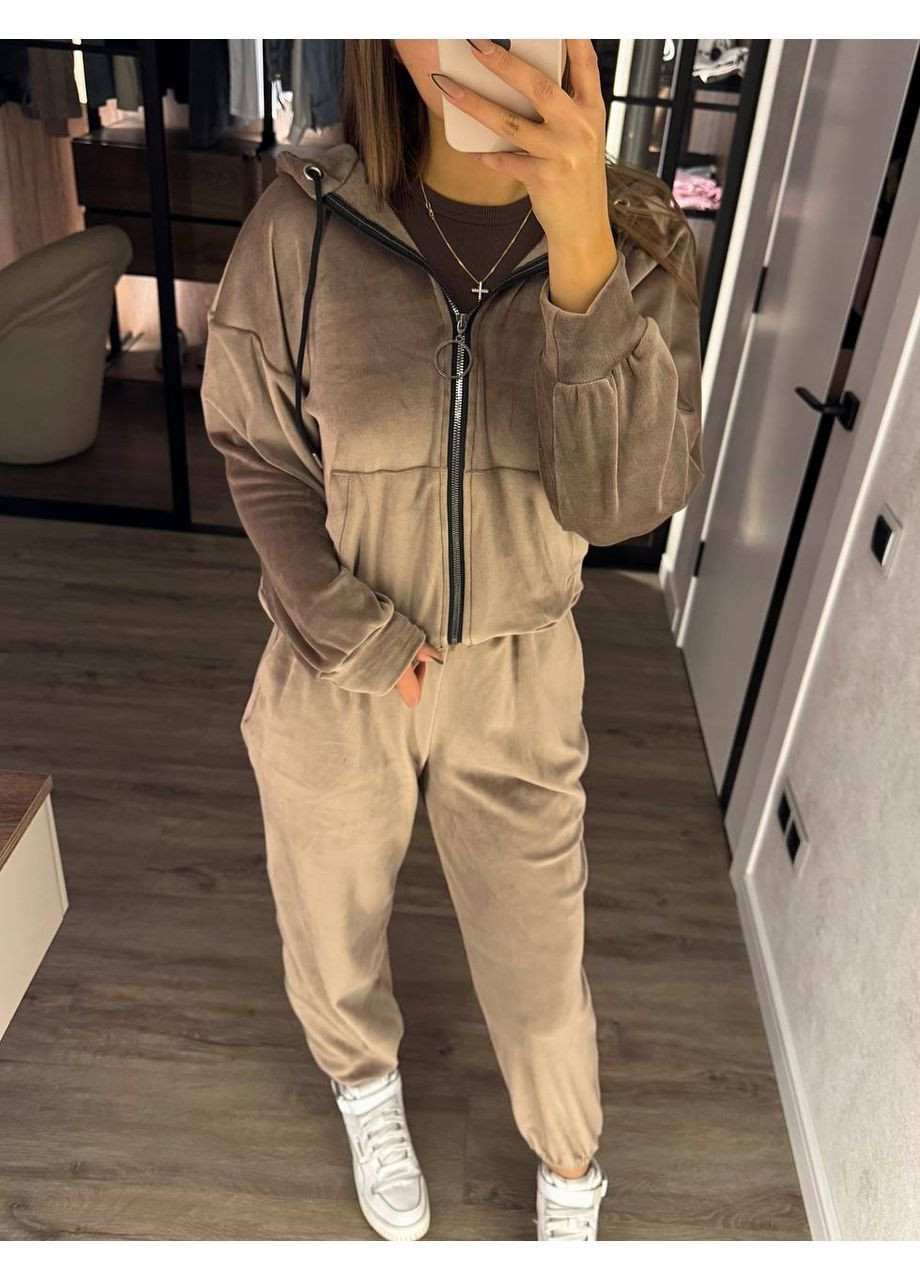 Костюм велюровий на хутрі,оверсайз модель,штани та кофта на блискавці Україна (366038920)