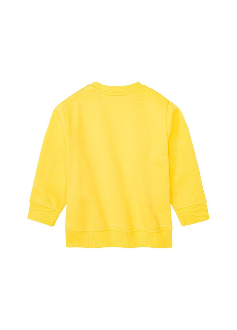 Кофта (світшот) для дівчинки, утеплена Lupilu (362315723)