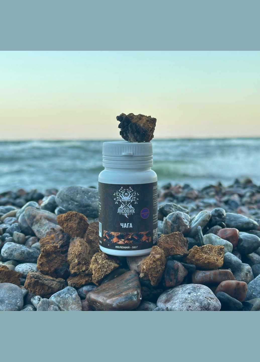 Чага березовая, экстракт 10:1, молотый 50 г Лісовик (334292980)