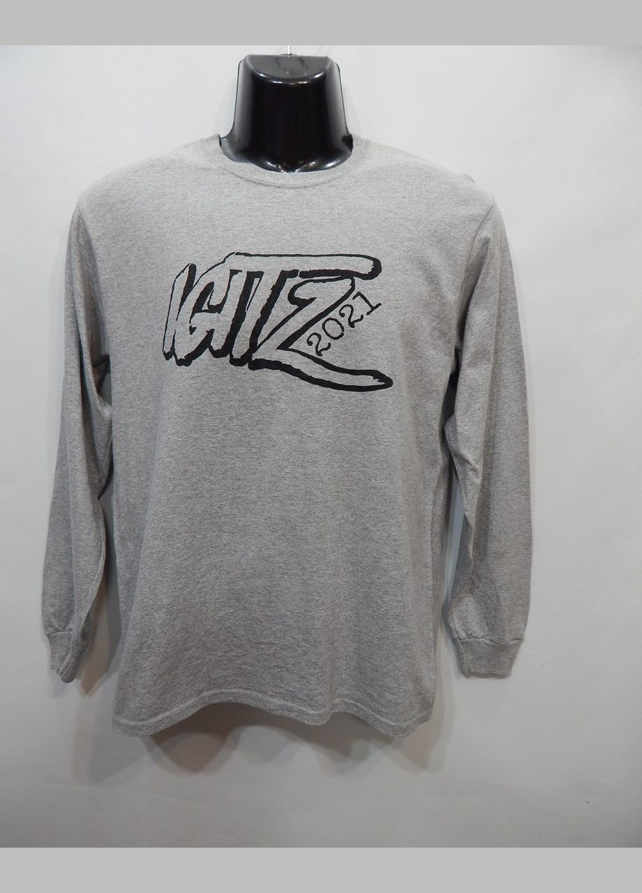 Футболка чоловіча з довгим рукавом р.48 026FMLN Gildan однотонний сірий повсякденні бавовна