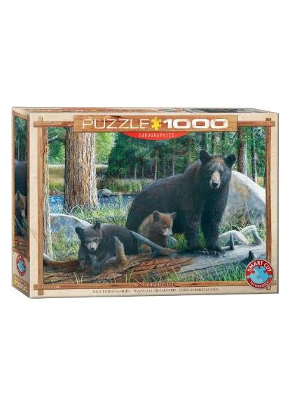 Пазл Узнавая мир, Кевин Даниэль, 1000 элементов () Eurographics 6000-0793 (328399026)