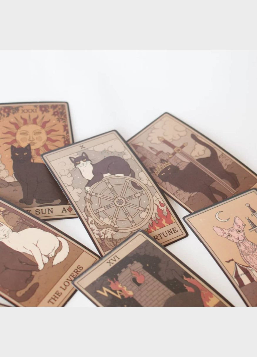 Набір наліпок 10 рандом стикерів з котами таро стікерпак казкові магічні естетика вінтаж готика матові на телефон комп ноутбук No Brand (315048674)