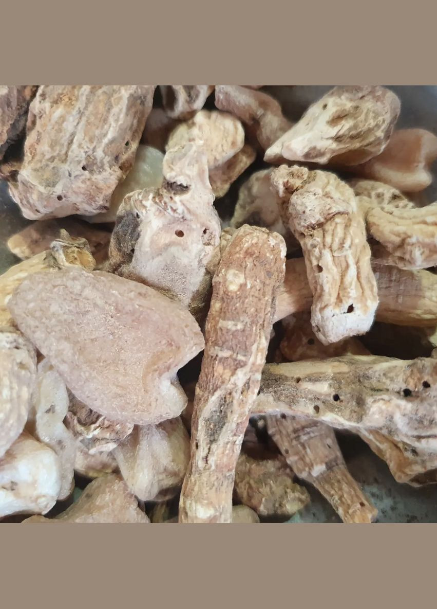 100 г женьшень біле коріння/коріння життя сушене - свіжий срожай No Brand (341538640)