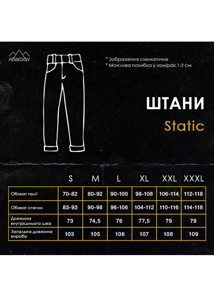 Армійські жіночі демісезонні штани Карго піксель No Brand (356509150)