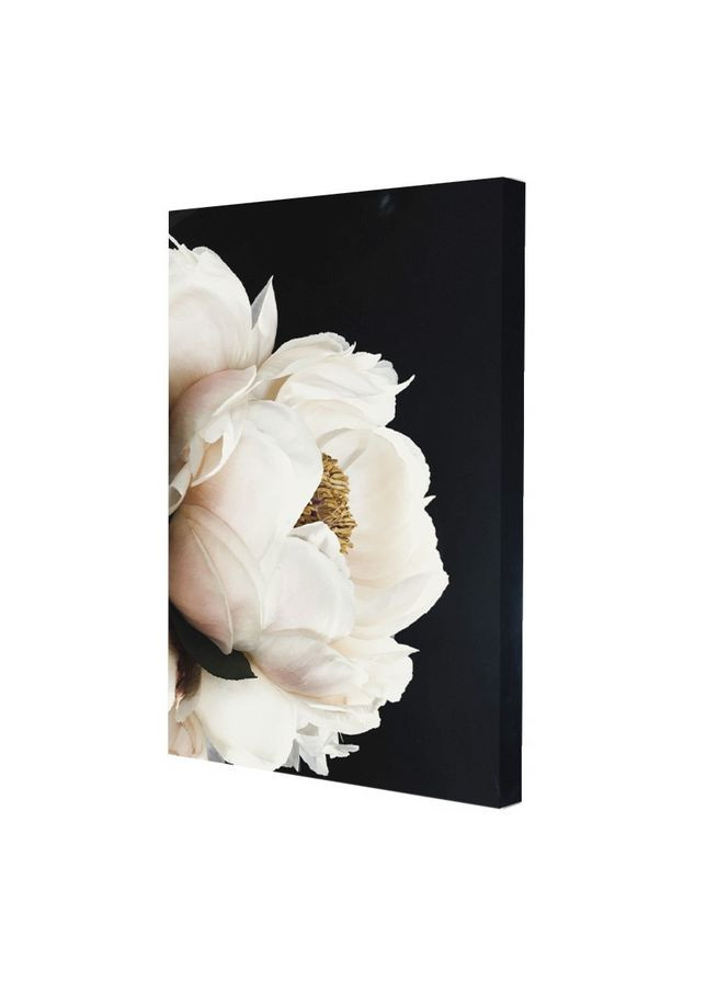 Постер Ясно-белый цветок 28x40 см (ПС-019) Riviera Blanca (296198493)