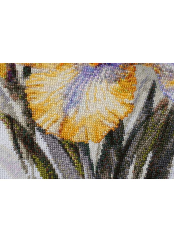 Набір для вишивання хрестиком "Іриси" AH-142 30х21 см Abris Art (305231836)