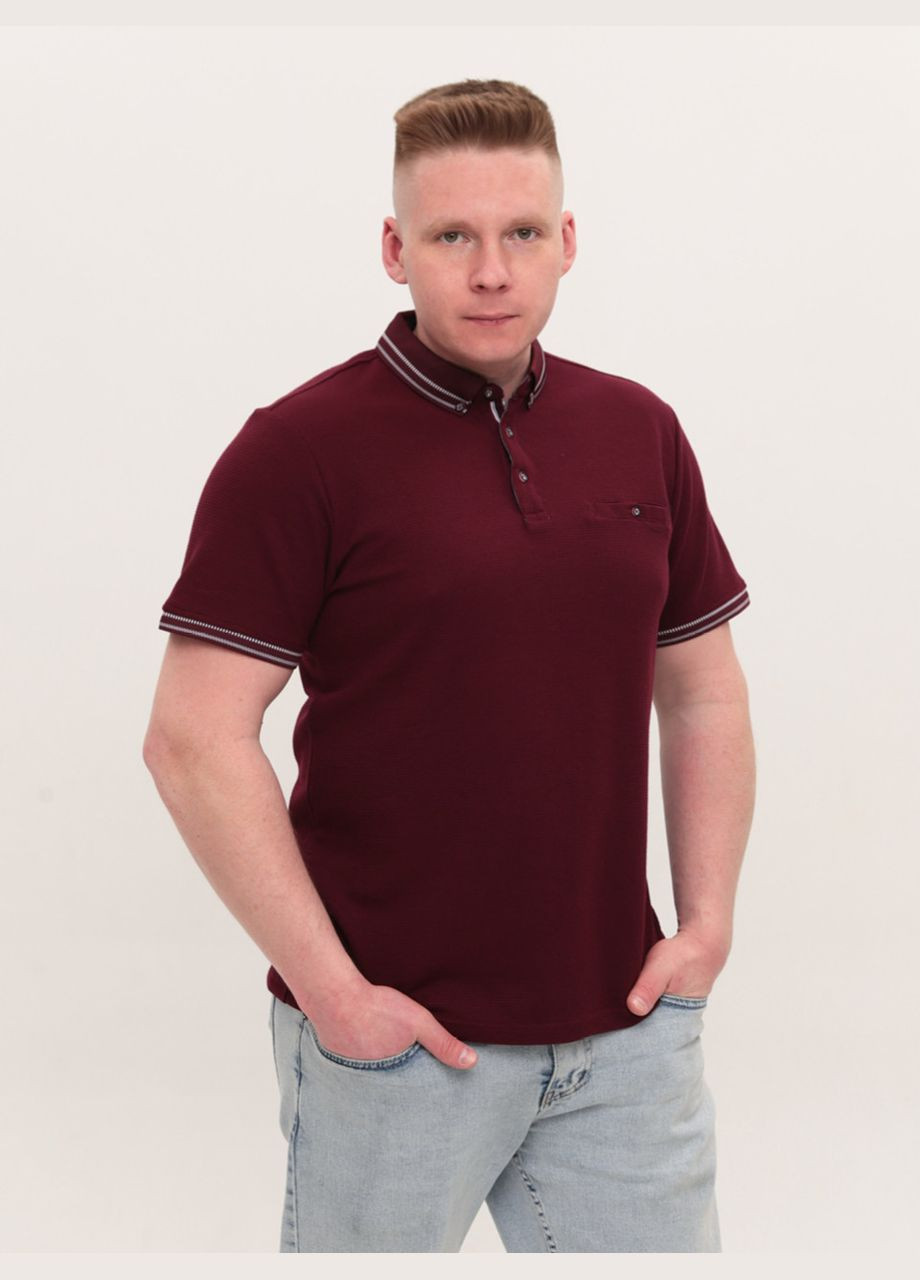 Поло чоловіче бордове пряме MarcoStar Пряма (330012938)