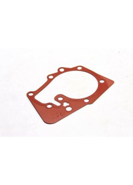 Прокладка водяної помпи Renault (354770492)