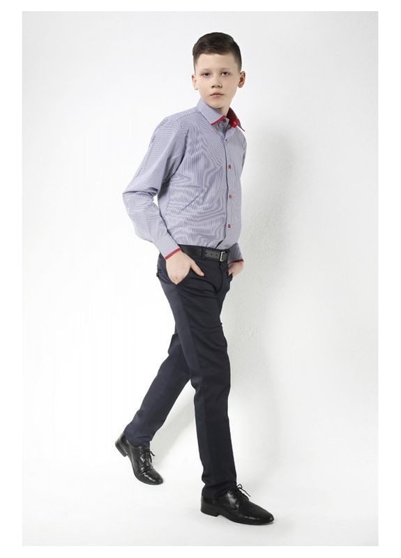 Темно-синие повседневный демисезонные брюки Jankes