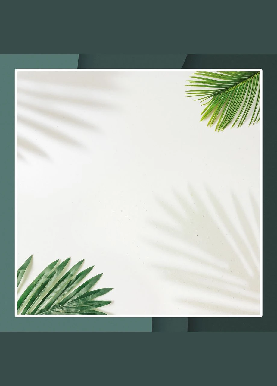 Вініловий фотофон 100х200см, Frontlit 450 г/м2, стіна + підлога №59240 PhotoVinyl (354378158)