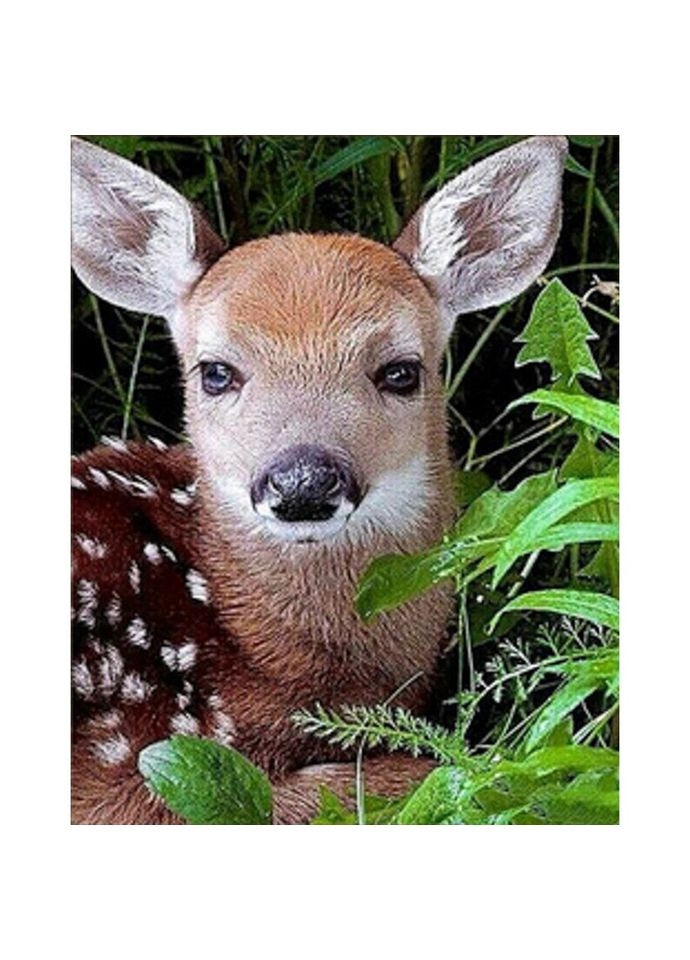 Алмазная мозаика "Детеныш косули" HEG86027 30х40 см Strateg (322433671)