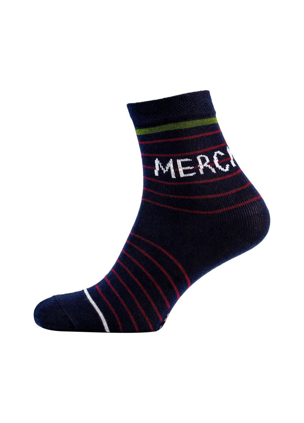 Сині набір (3 шт) жіночих шкарпеток Siela (302517123)