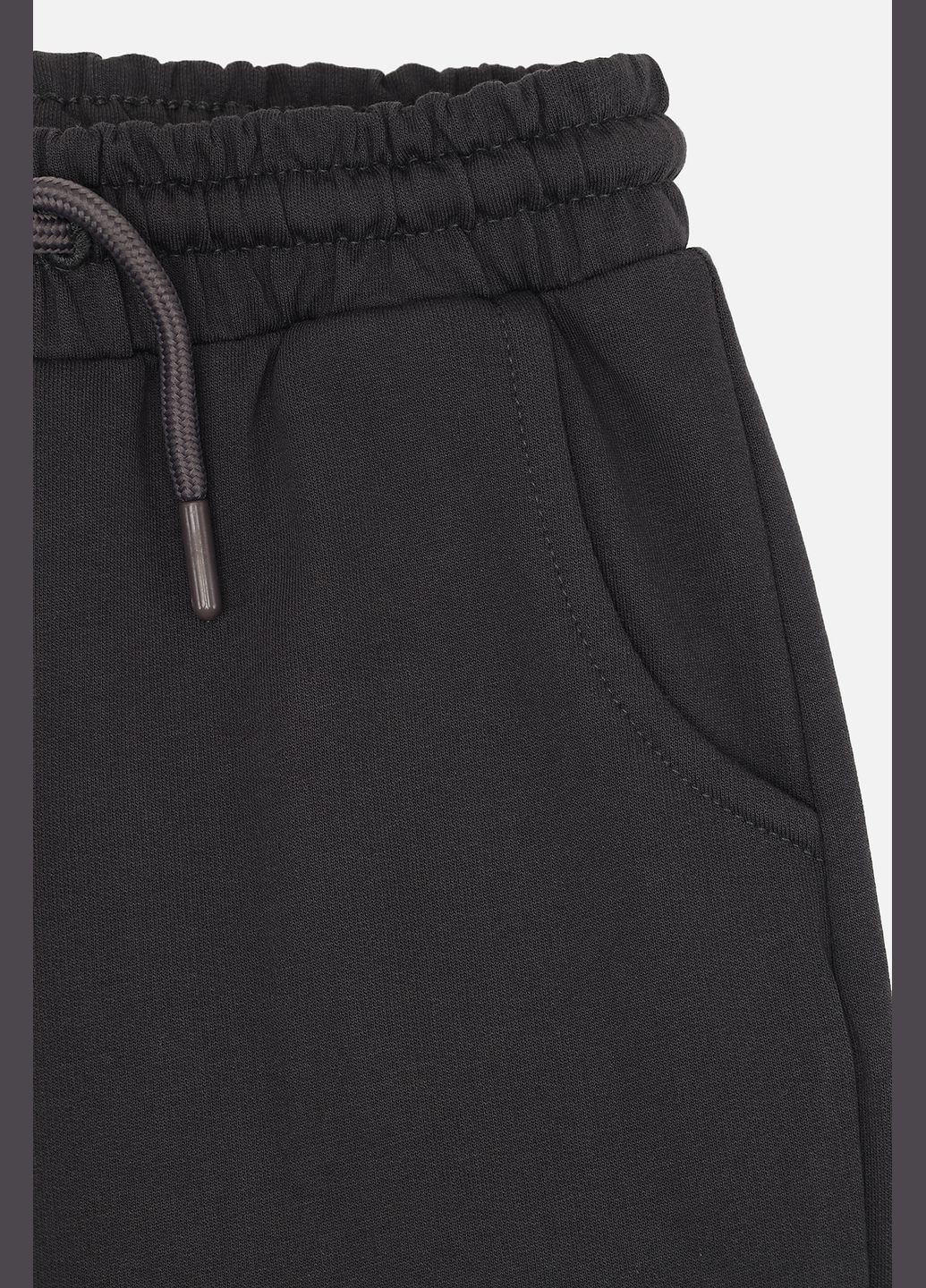 Графитовые демисезонные брюки Yuki