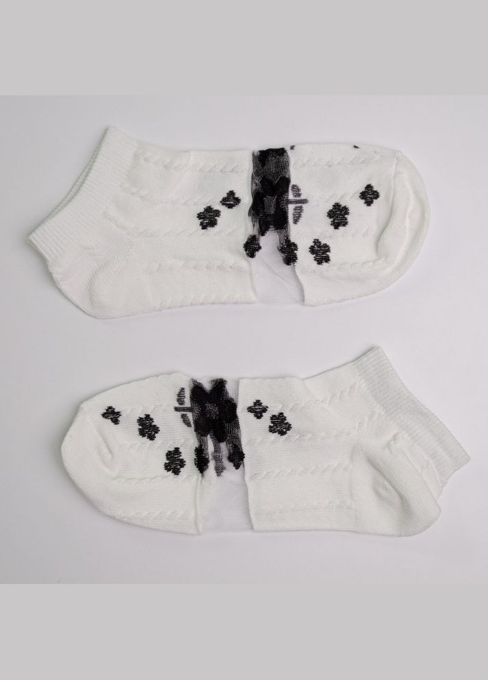 Белые набор носков женских хлопковых 10 пар youstar 092 низкие 37-41 белый GM Textile (339042283)