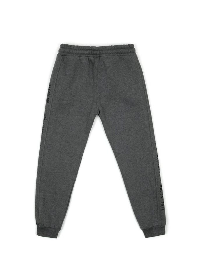 Комбинированные демисезонные брюки Joi