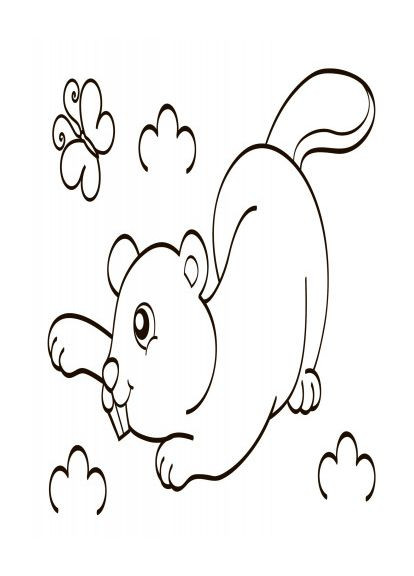 Дитяча водна розмальовка: Дикі тварини 734008, 8 сторінок Ranok Creative (305077620)