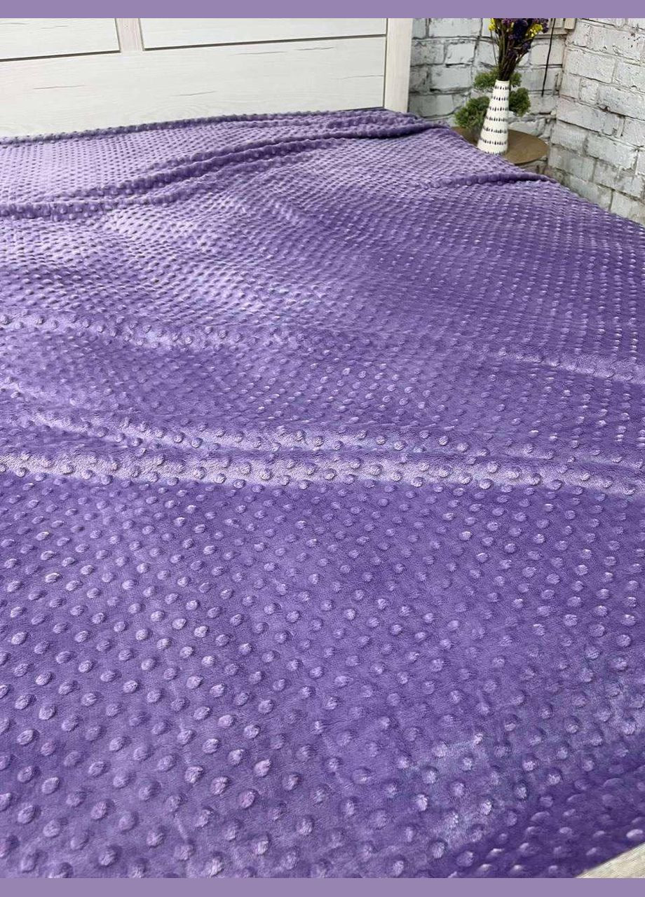 Плед мягкий пушистый на диван 180х215 см Фиолетовый (П4Кmur-flis-pled-006-02) No Brand (308754901)