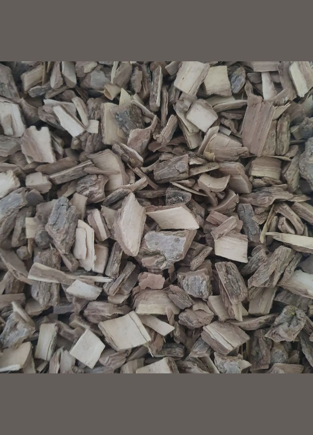 100 г бузина кора сушеная - свежий урожай No Brand (335413526)